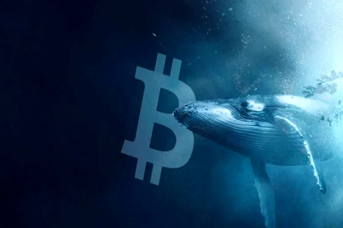 ترمز دستی بیت کوین کشیده شد