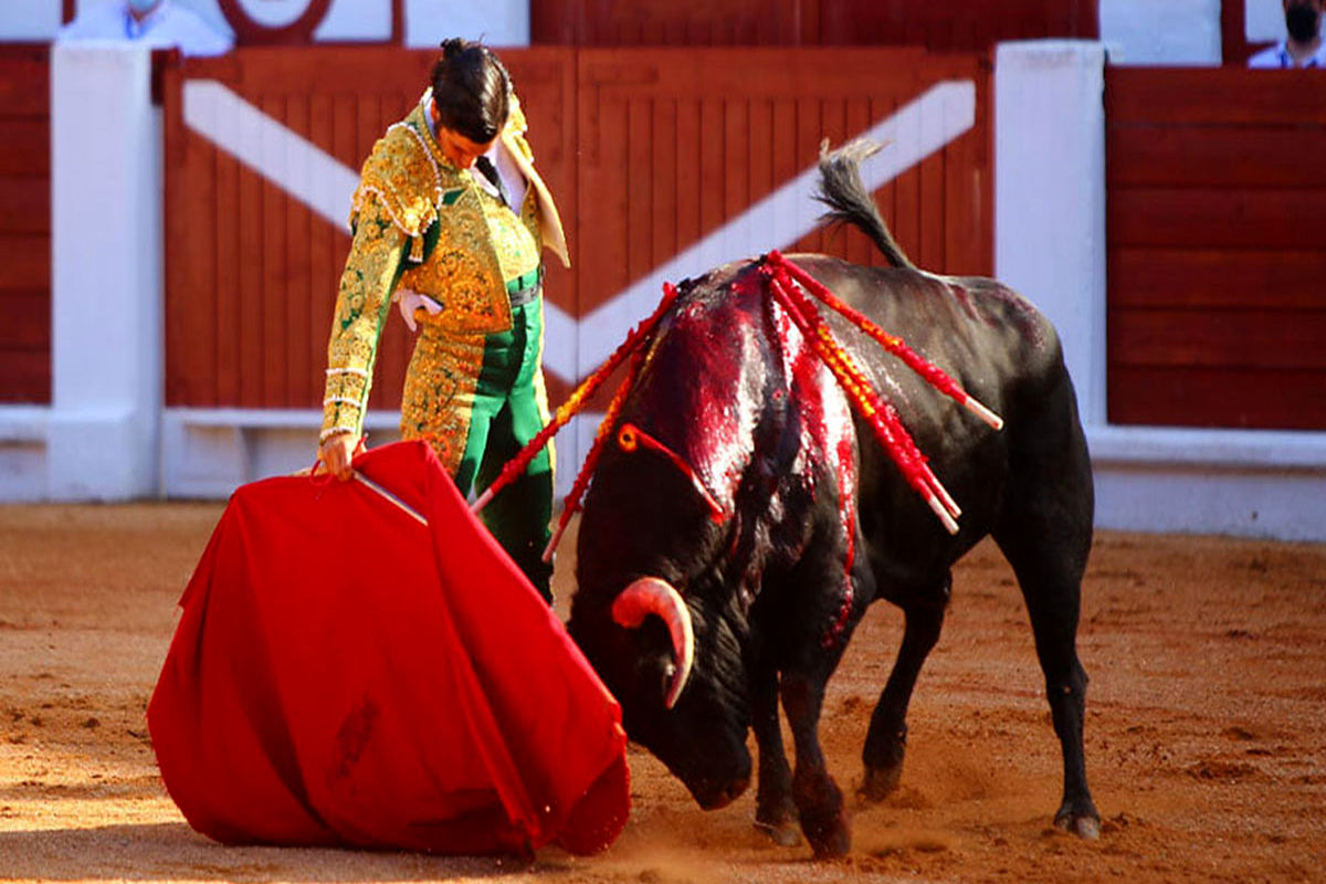 آخر عاقبت حیوان آزاری در اسپانیا!+ فیلم