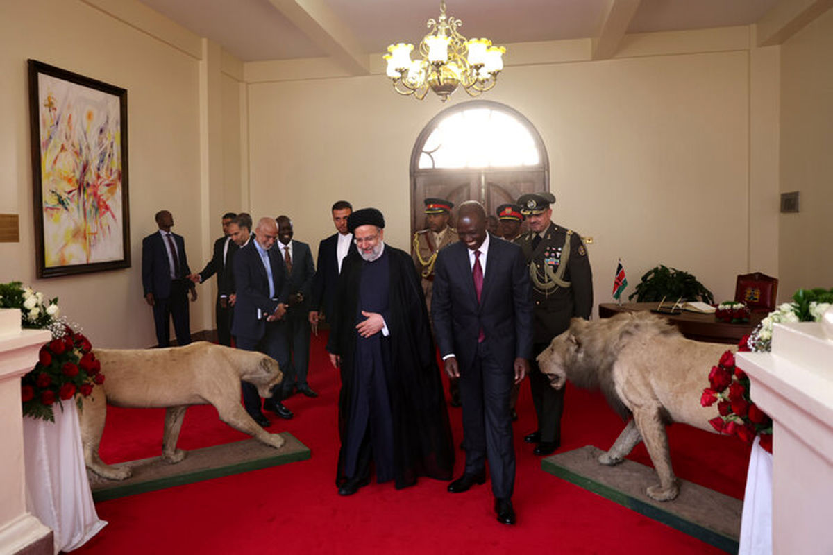 شلیک ۲۱ گلوله توپ در کنیا به افتخار هیات ایرانی