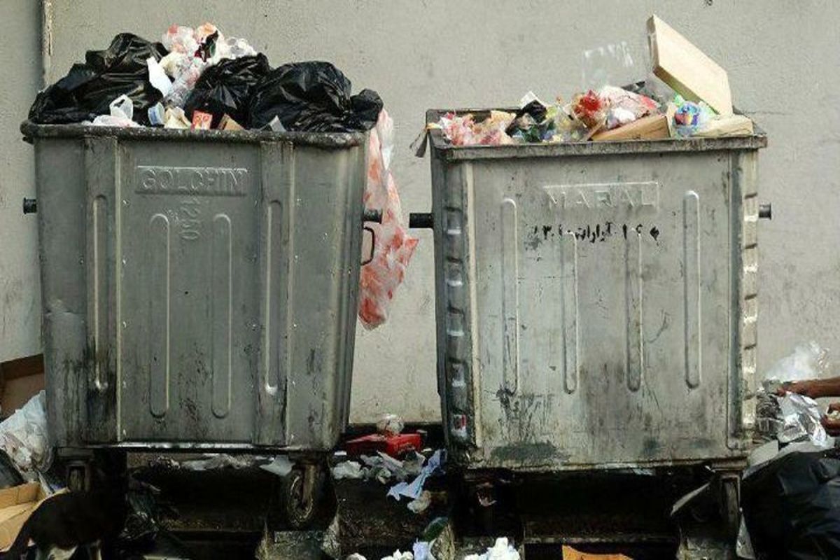 پایتخت باب دل موش ها!