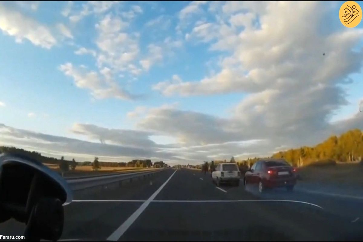 حرکت خطرناک گله اسب‌ها در جاده + ویدئو