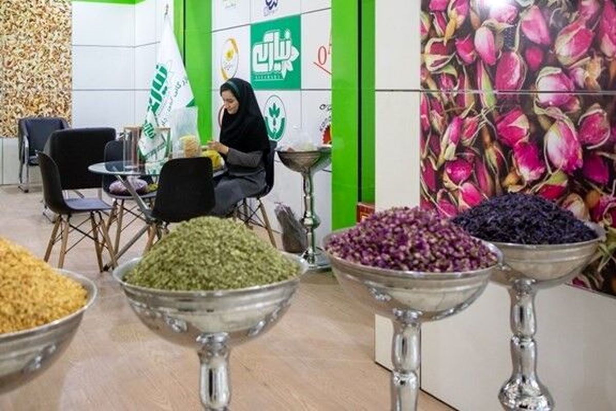 آخرین قیمت انواع گیاهان دارویی در بازار + جدول