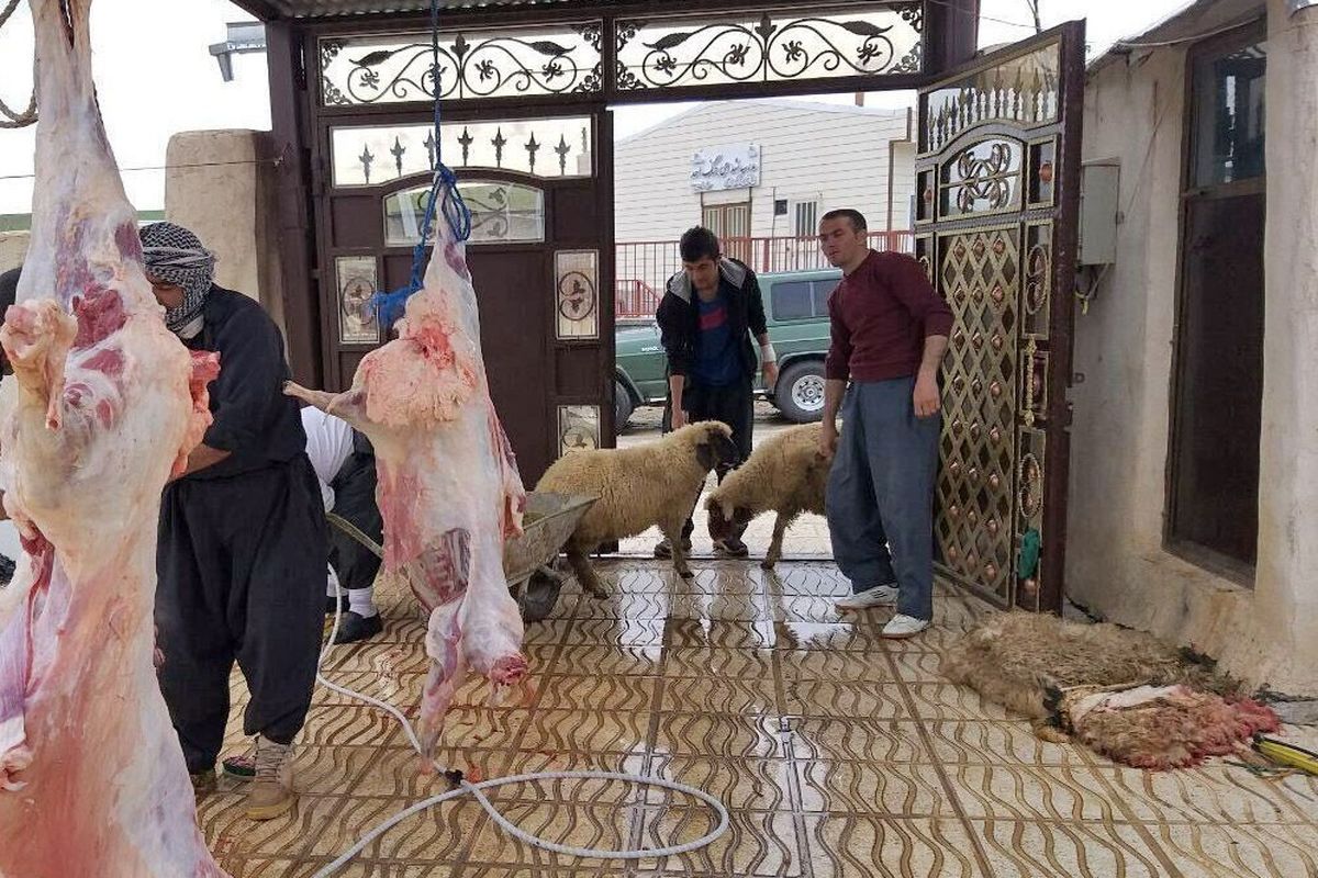 هشدار مهم سازمان دامپزشکی برای تاسوعا و عاشورا