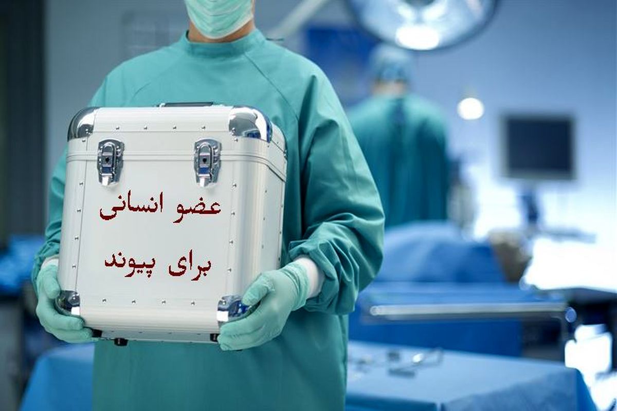 سایت خرید و فروش اعضای بدن در ایران راه اندازی شد؟