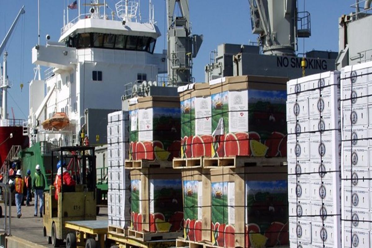 رشد ۱۹درصدی صادرات محصولات کشاورزی و غذایی