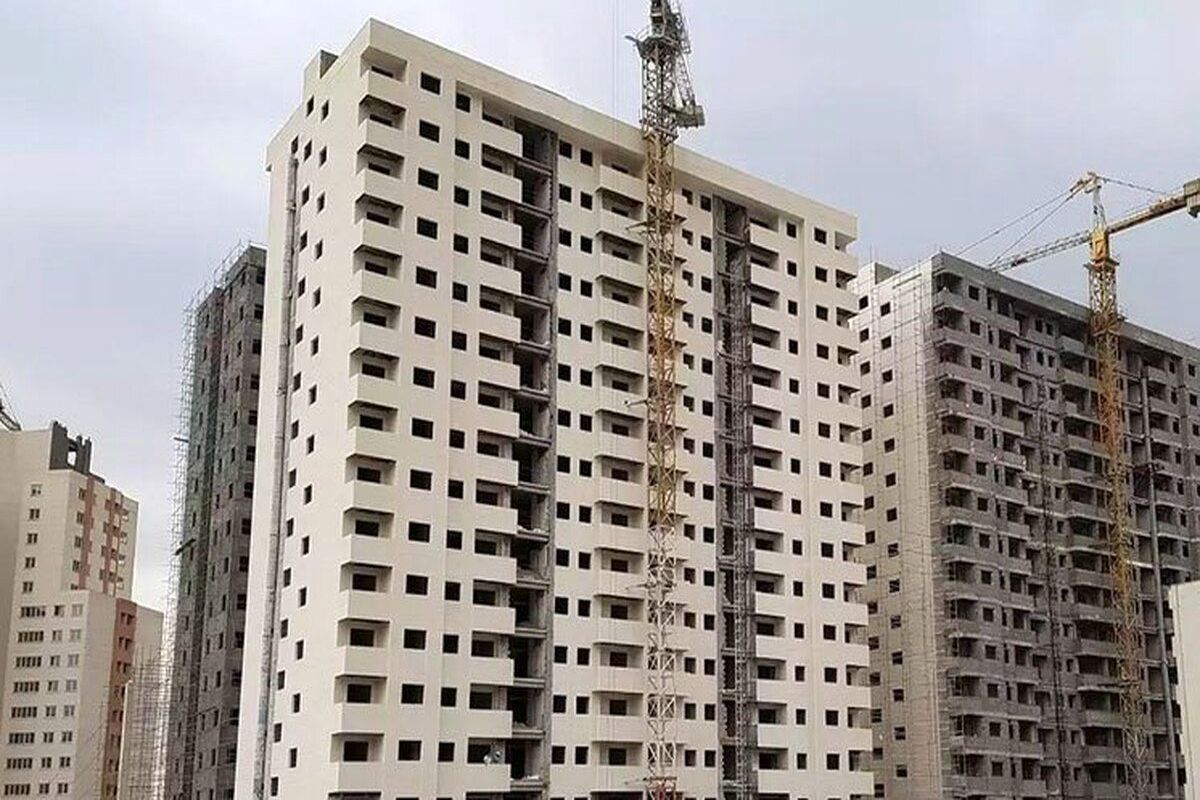 ساخت مسکن ۲۵ متری ایده بخش خصوصی بود