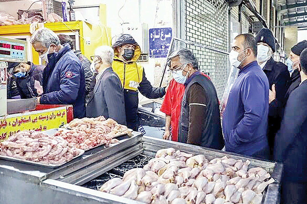 قیمت امروز مرغ مشخص شد (۲۷ شهریور)