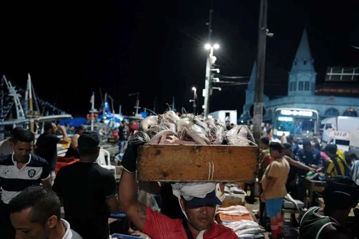 شاید همه مردم جهان گرسنه بمانند