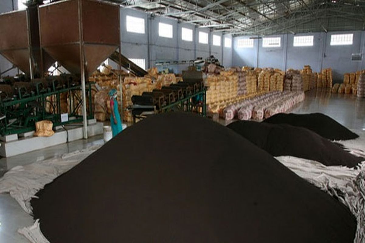 شرط جدید برای واردات چای خارجی