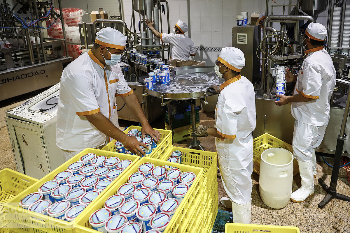 قیمت لبنیات دوباره بی راهه رفت