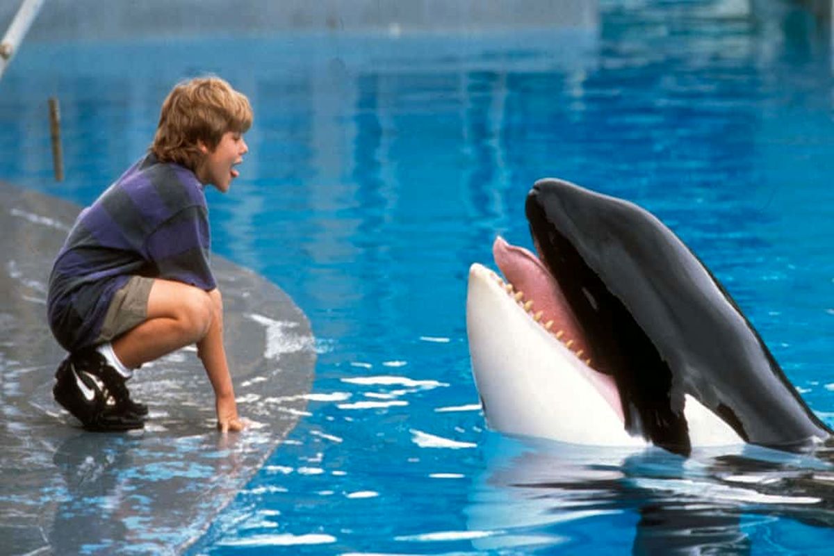 آیا صحبت با حیوانات ممکن می شود؟