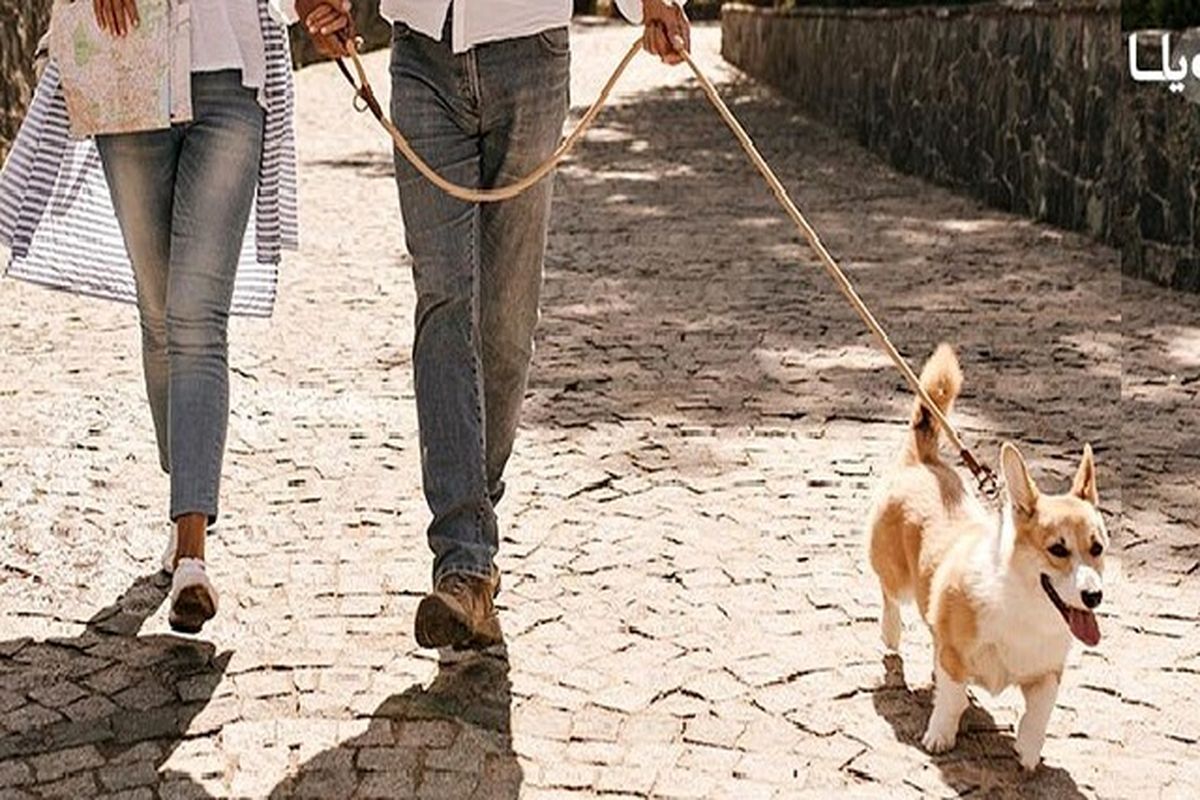 رضایی: تقلید سبک زندگی غربی در جوانان ناشی از ضعف محتواهای فرهنگی در کشور است