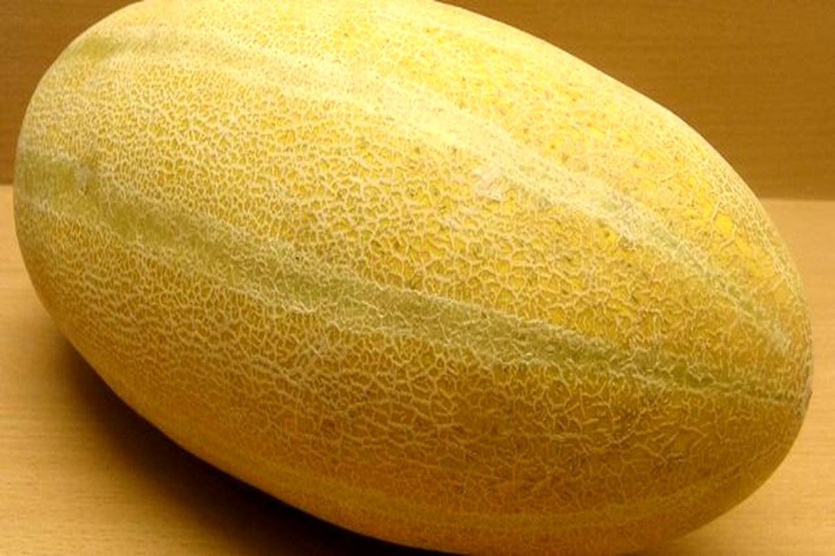 مضرات باورنکردنی خوردن این میوه با شکم خالی