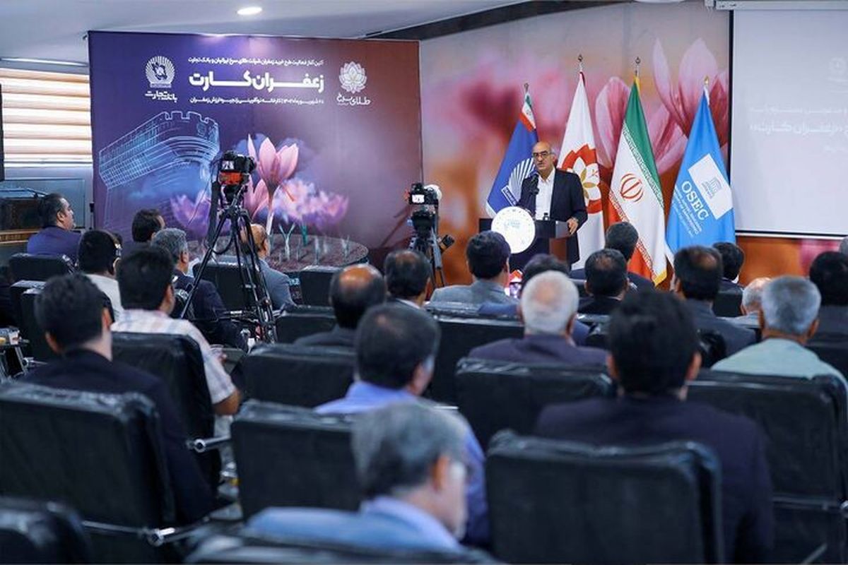 اقدامی ویژه برای حمایت از کشاورزان طلای سرخ