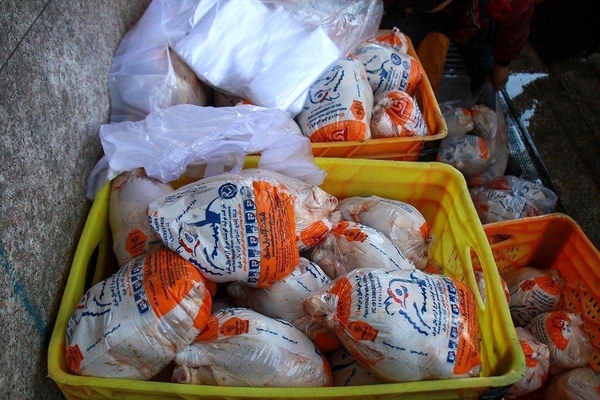 عرضه مرغ بدون کم و کاستی