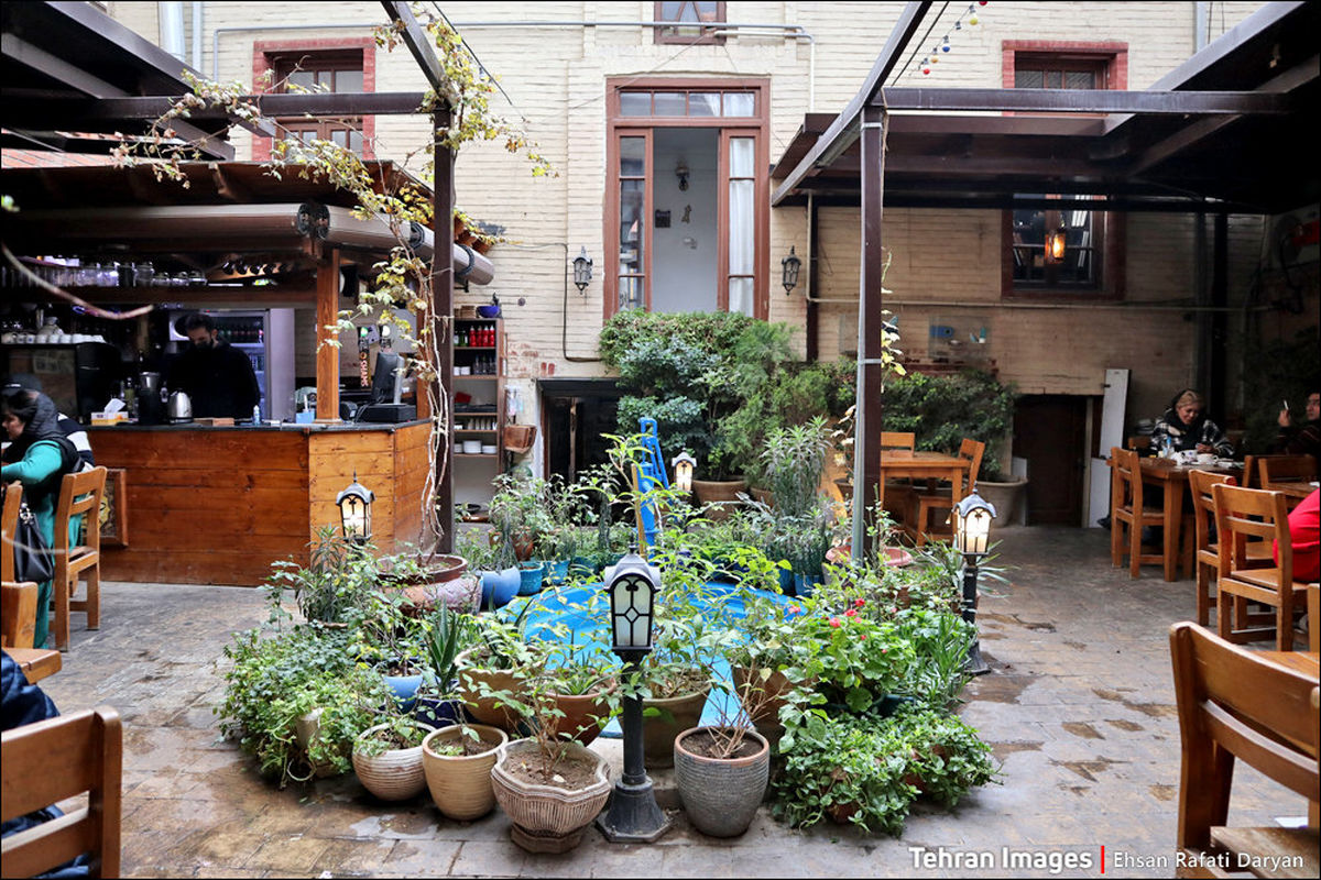 اینجا هم فال است و هم تماشا!