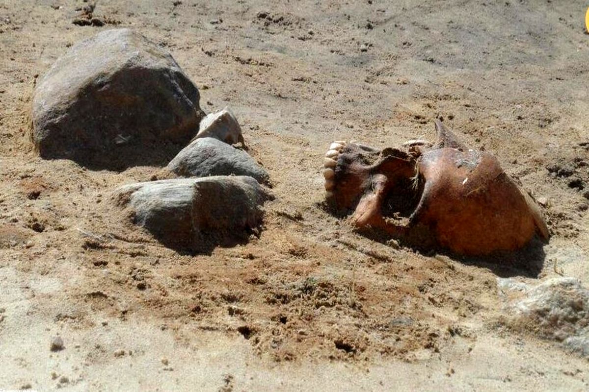 این زن خون آشام در قبرستان پیدا شد / او را با داسی بر گردن دفن کردند + تصاویر