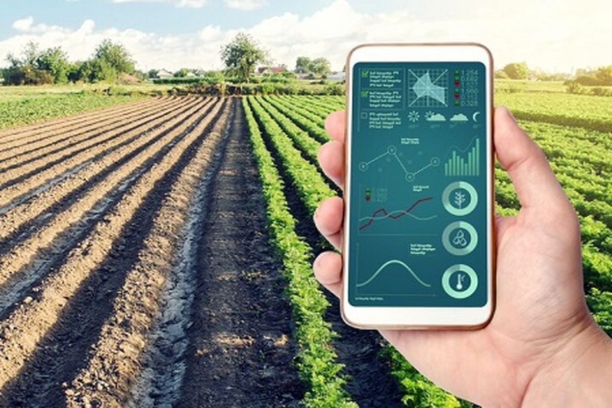 هوشمندسازی کشاورزی و ضرورت آن در بحران آب