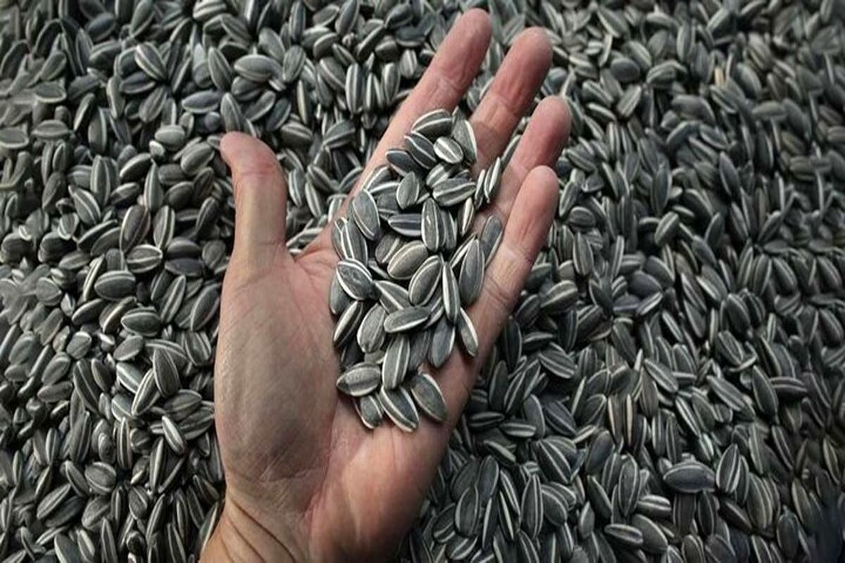 خوردن این خوراکی برای رانندگان ممنوع شد / احتمال سکته قلبی رانندگان قوت می گیرد