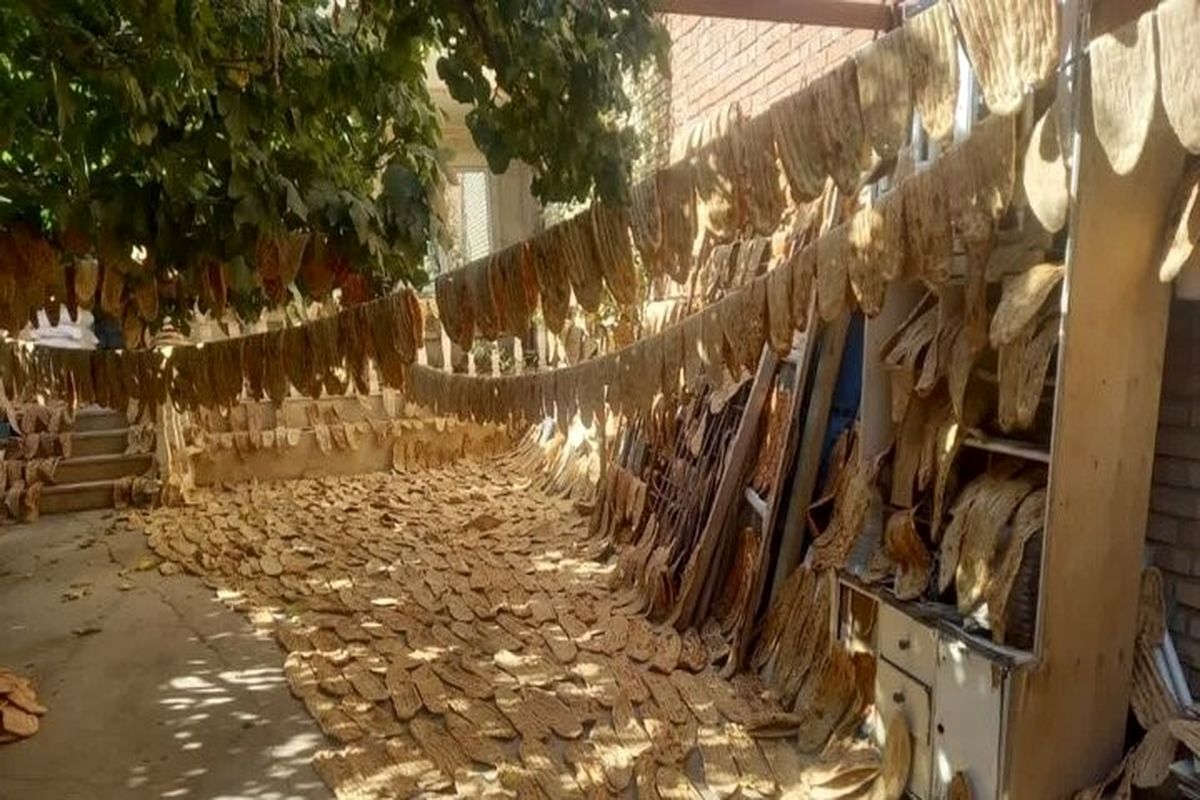 احتکاری عجیب در بجنورد / کشف ۵ هزار نان در حیاط یک خانه + فیلم