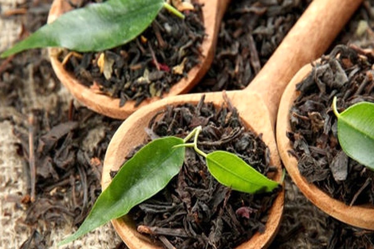 امتیاز ویژه واردات چای / صدور مجوز برای خریداران چای