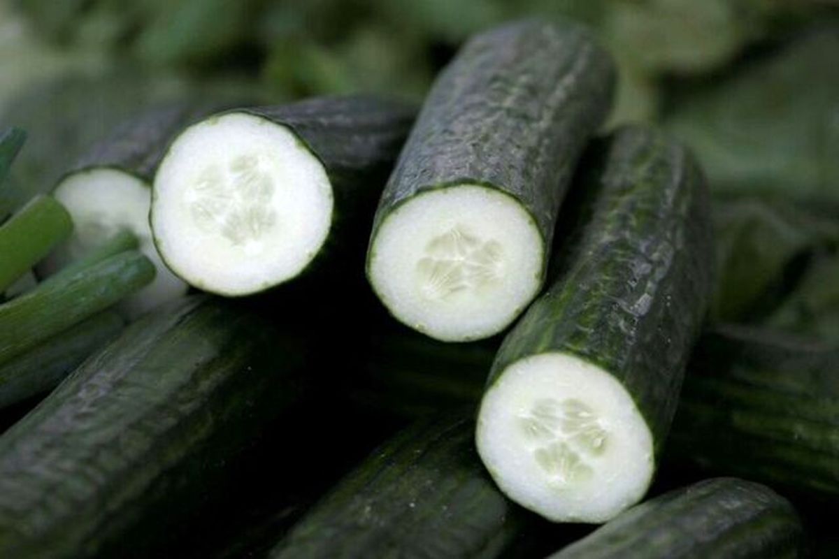 خیار و گوجه ارزان شد / اقدامی ویژه برای کاهش قیمت صیفی جات