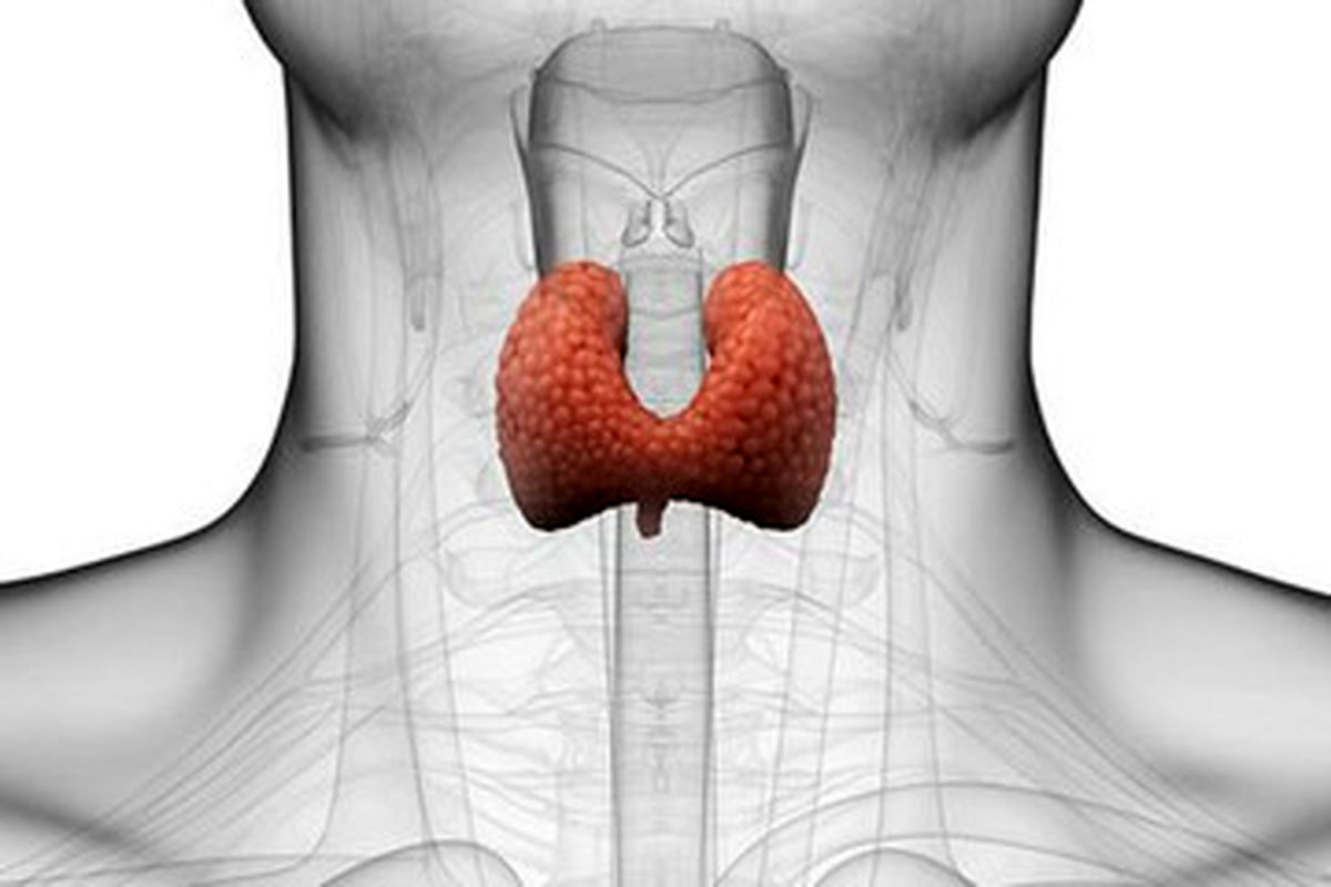 کم کاری تیروئید چه بلایی سر بدن میاورد؟ / پرخوابی یکی از علائم جدی تیروئید
