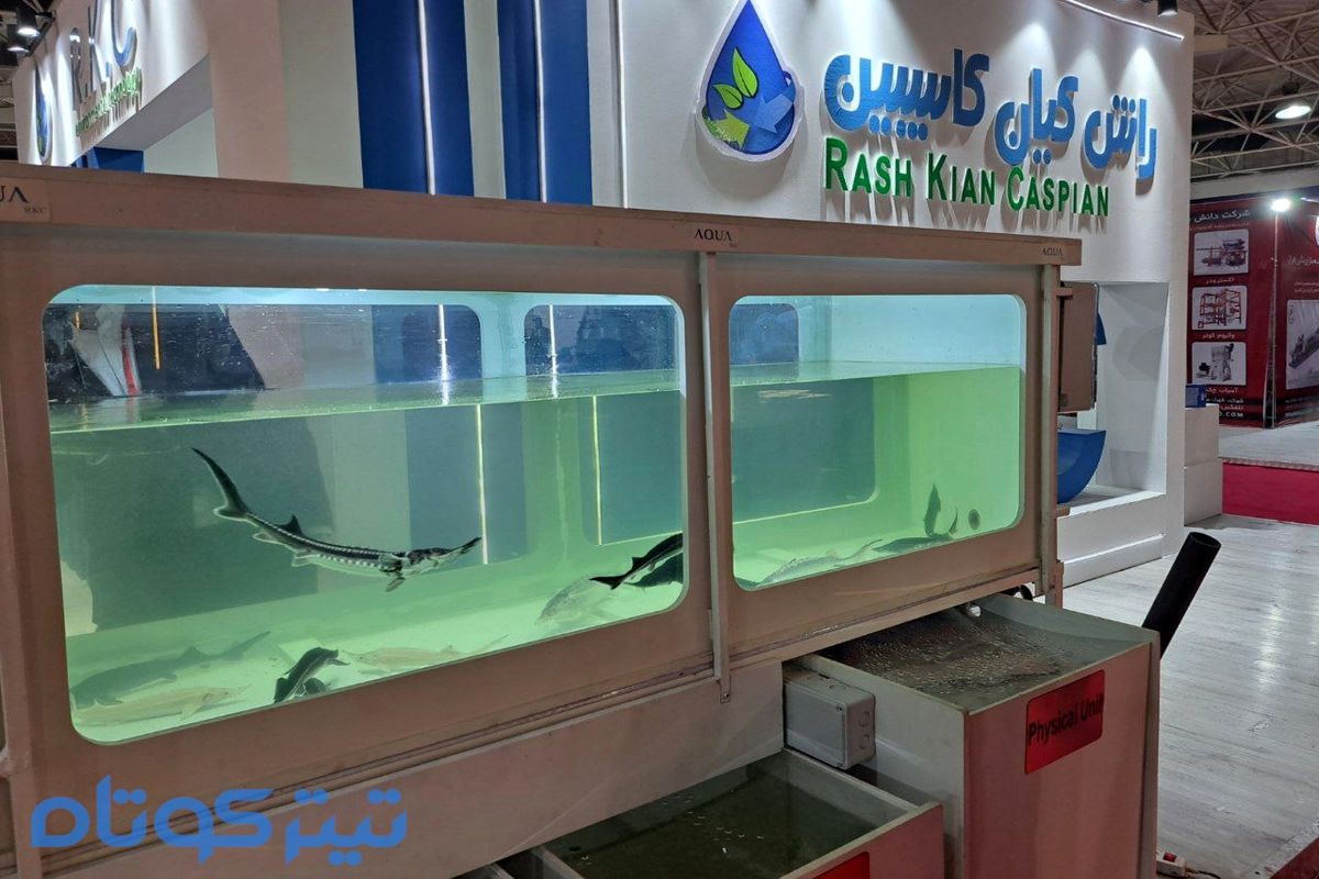 تصاویر / نمایشگاه شیلات از دریچه دوربین