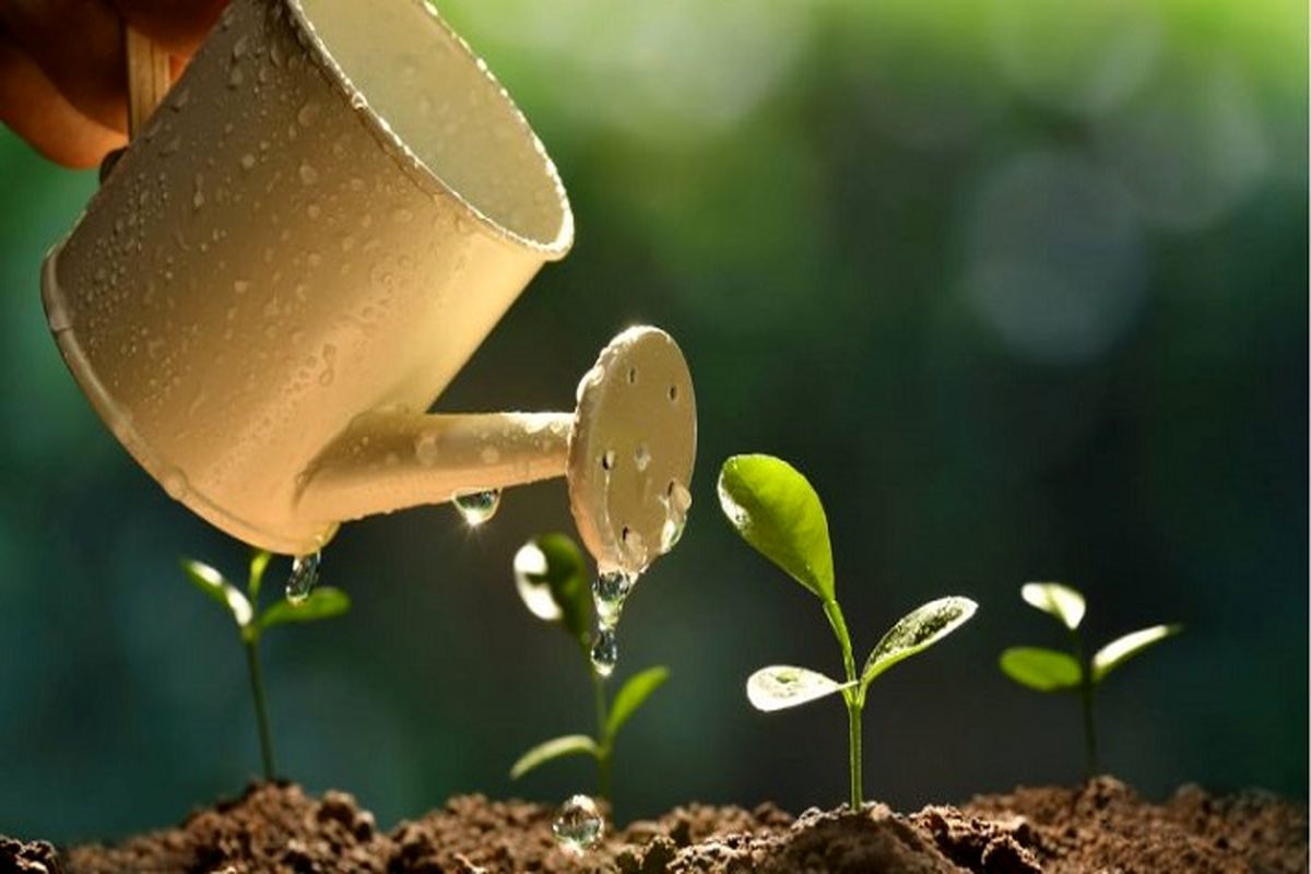 پایداری صنعت‌ غذایی در گرو افزایش تولید محصولات‌ کشاورزی