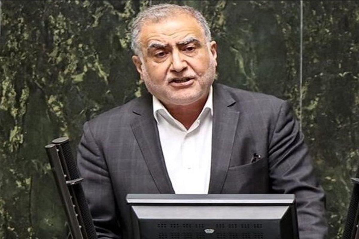 نماینده مجلس؛ هرجا رانت و عدم نظارت باشد، فساد رخ می دهد