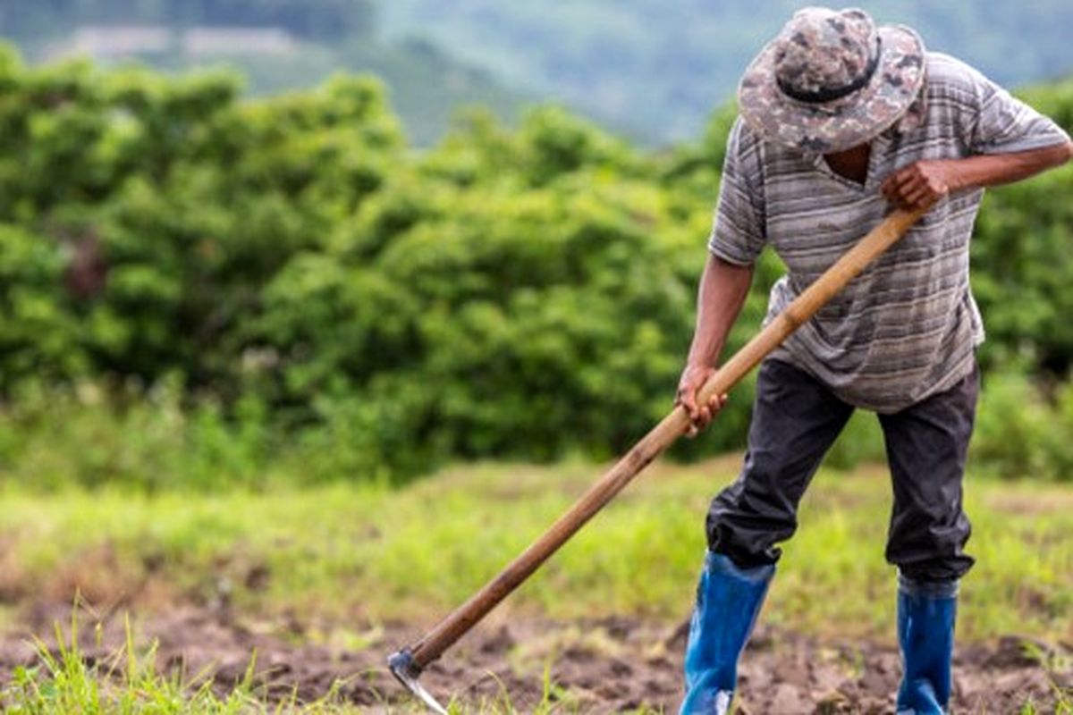 حقوق این گروه از کارگران افزایش یافت / خوش به حال این کارگران شد