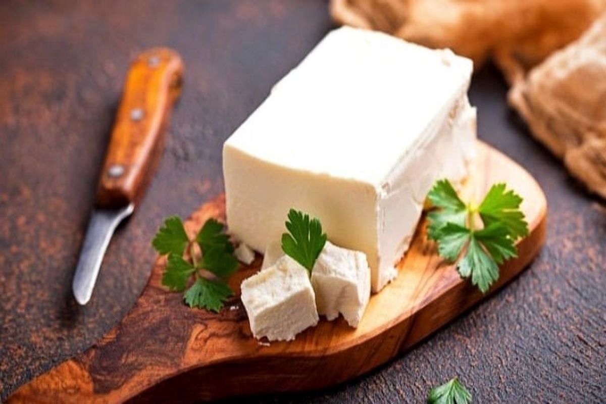 خرید پنیر چقدر خرج روی دستان می گذارد؟ / پنیر پتیزا کیلویی چند شد؟