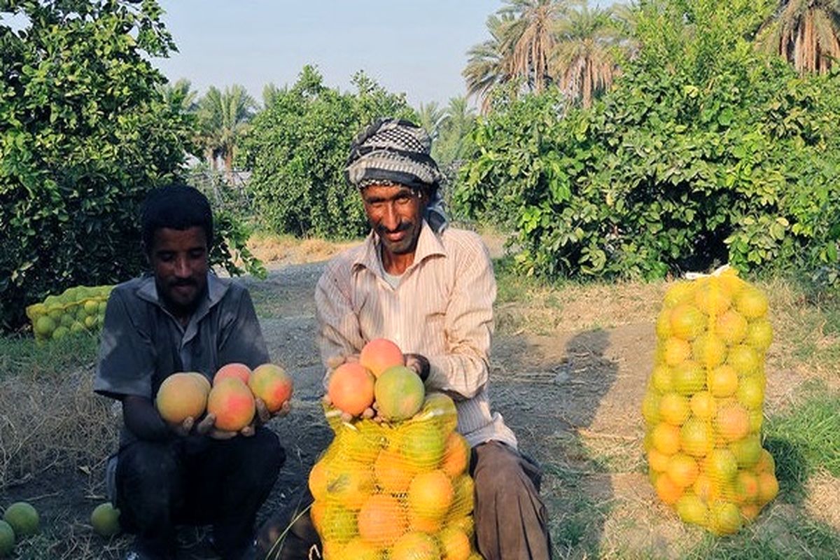 حقوق این گروه از کارگران بیش از ۴۲ درصد افزایش یافت