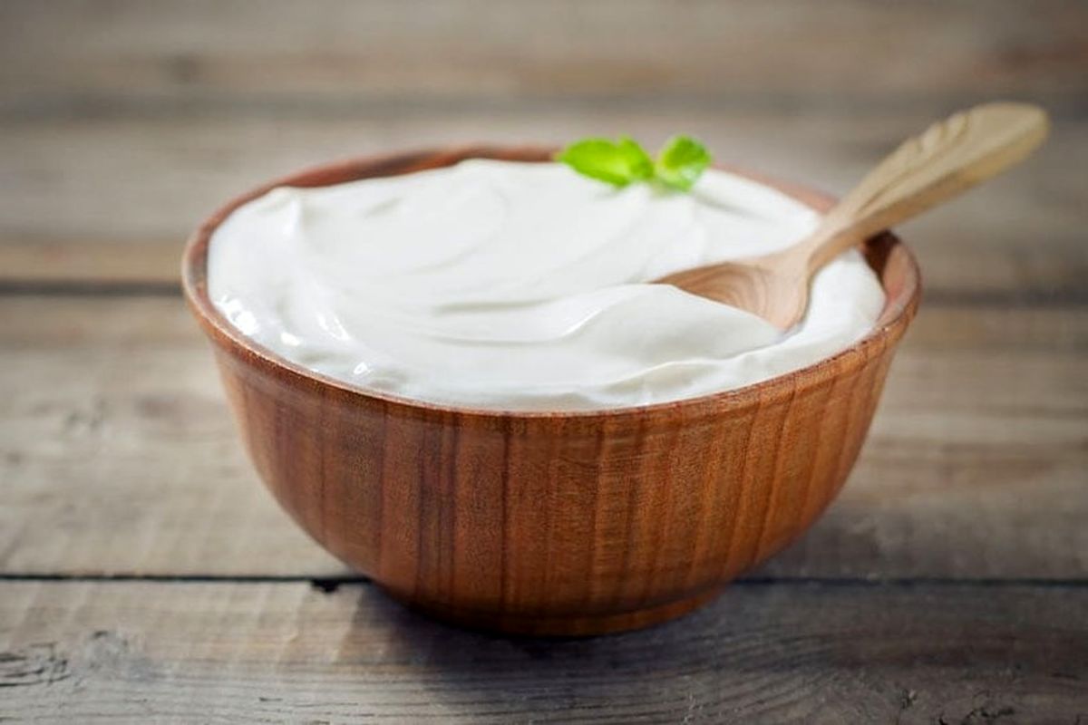 ماست گوسفندی کیلویی چند؟ / قیمت انواع ماست در بازار