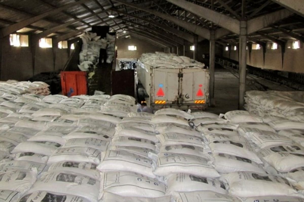 شالیکاران خوشحال باشند / واردات برنج فعلا منتفی است