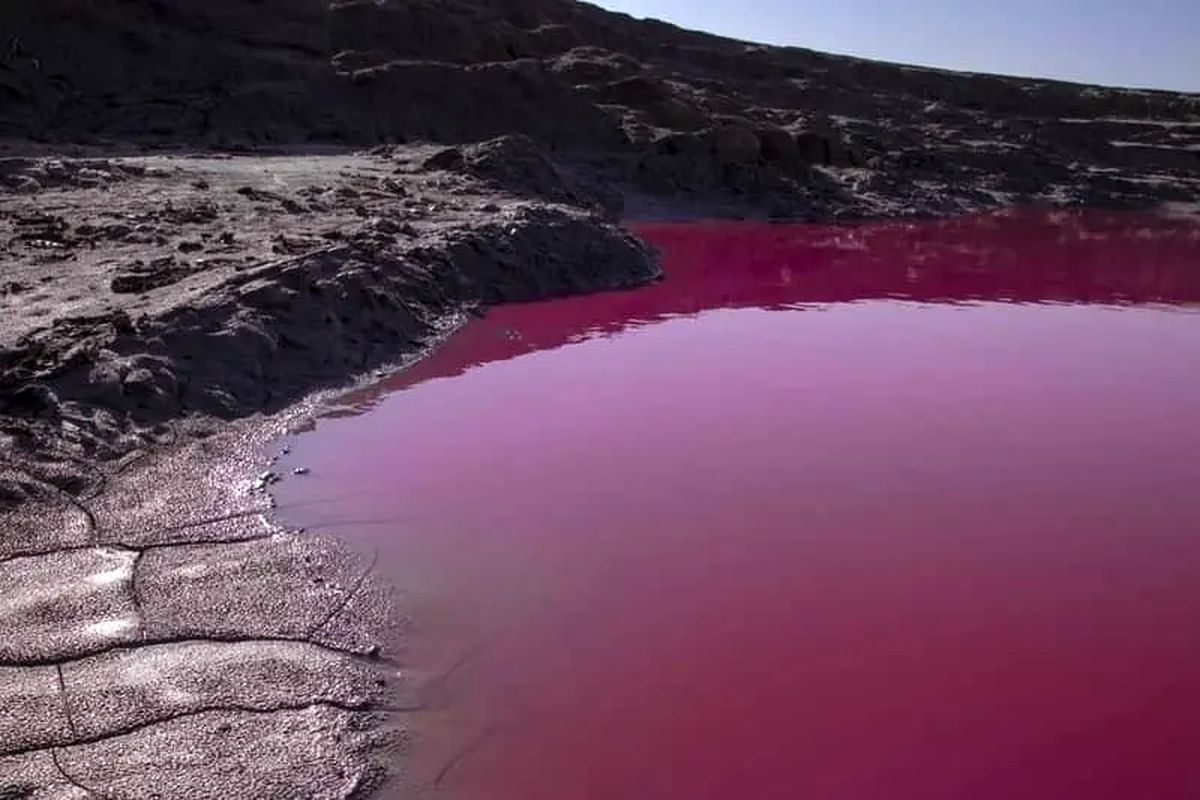 قیمت نفت برنت صعودی شد