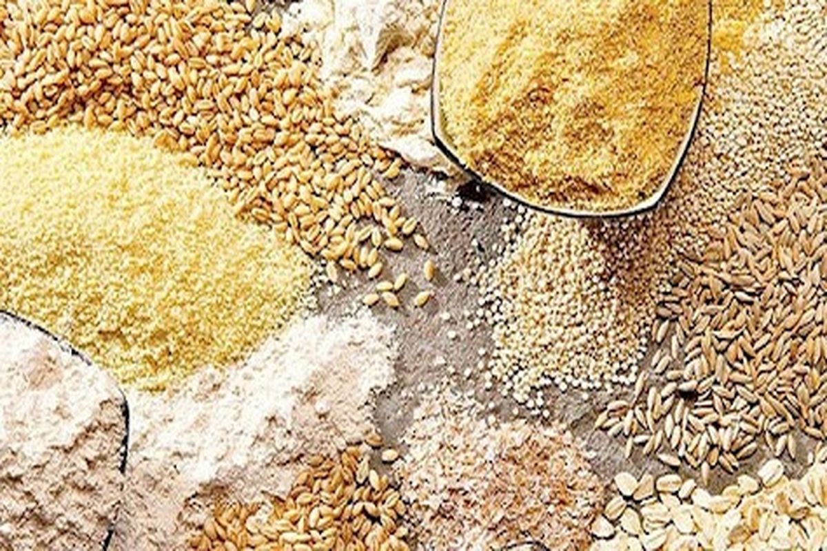 آخرین قیمت نهاده های دامی در بازار / سبوس گندم کیلیویی چند؟ + جدول