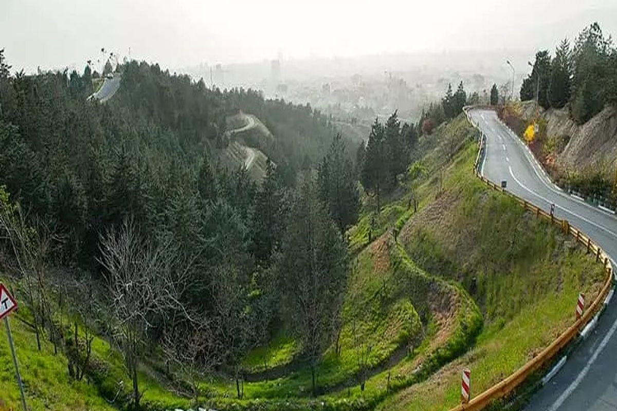 ساخت و ساز هتل در مناطق جنگلی تهران / فضای سبز پایتخت در خطر است؟