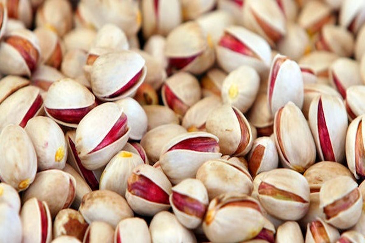 سود نجومی از صادرات پسته ایرانی