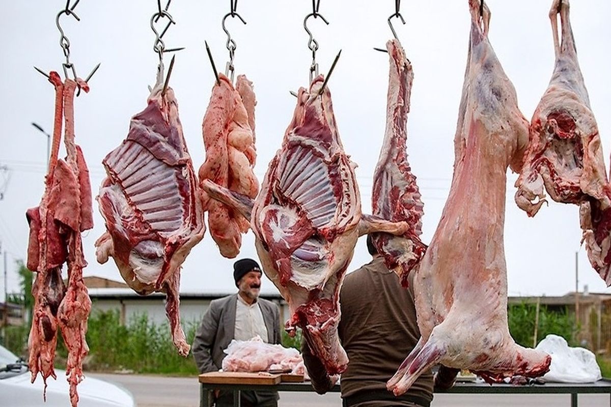قیمت گوشت گوسفندی و گوساله در بازار امروز / میوه در پایتخت، روزانه توزیع می شود