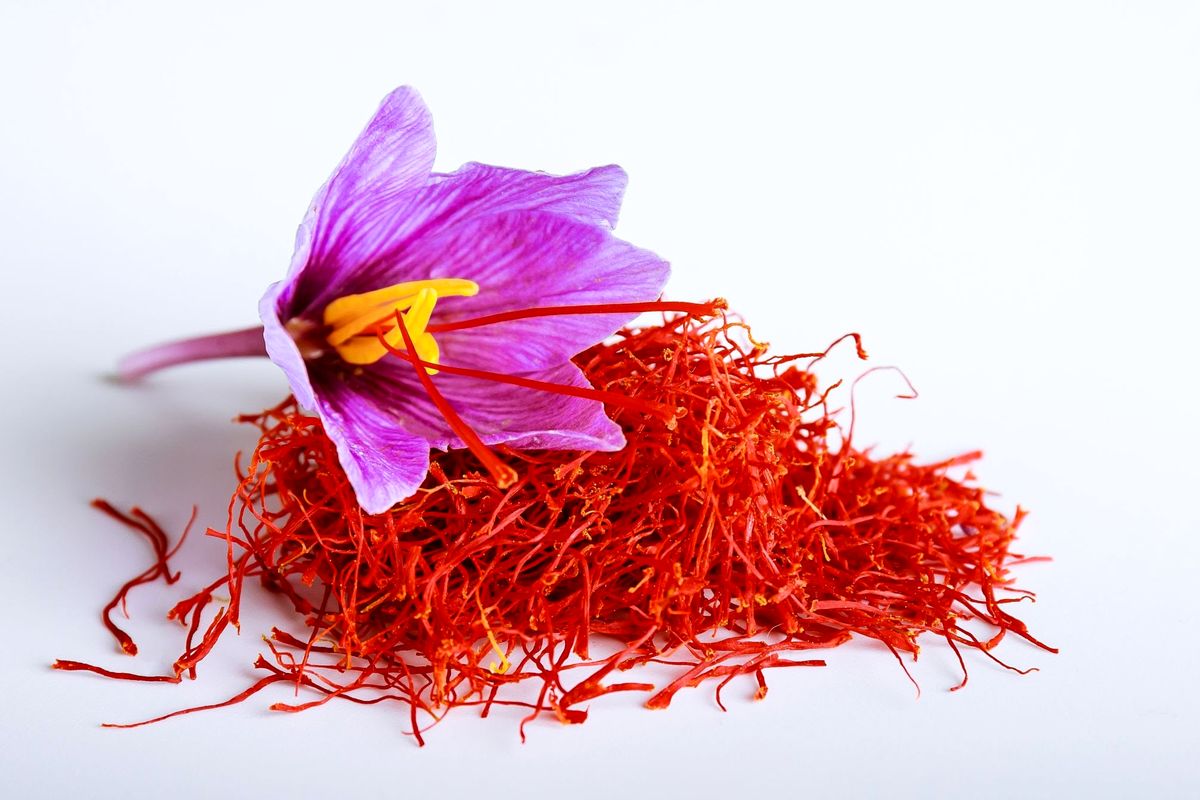 به قیمت این زعفران ها شک کنید / راه حل تشخیص زعفران اصلی از تقلبی