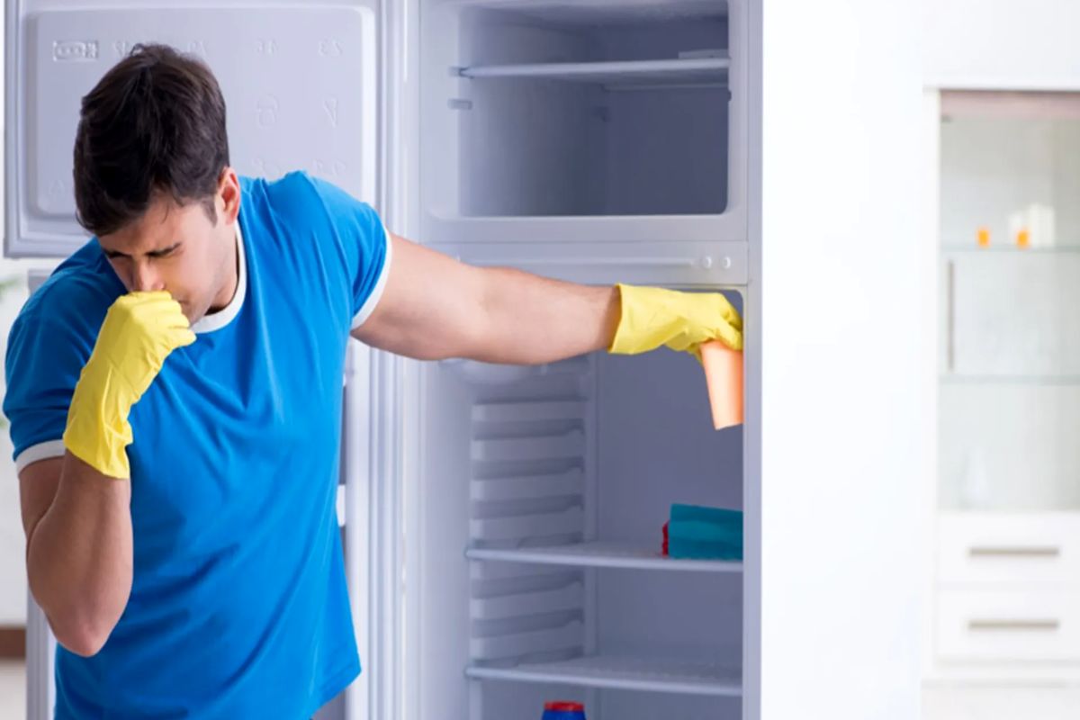 با این ۳ روش یخچالی خوشبو و تمیز داشته باشید