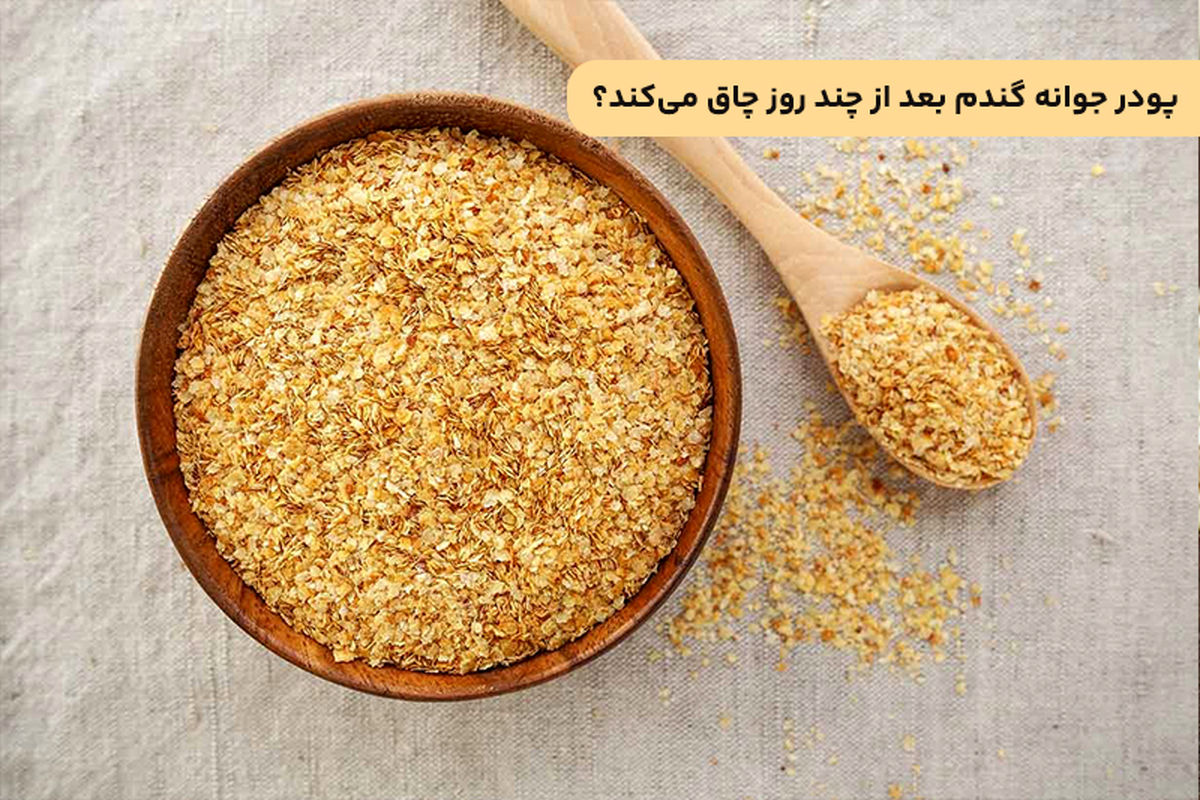پودر جوانه گندم بعد از چند روز چاق می‌کند + مقدار مصرف روزانه