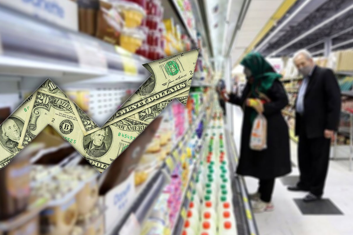 ضرورت اصلاح سیاست های ارزی برای جلوگیری از سونامی گرانی ها