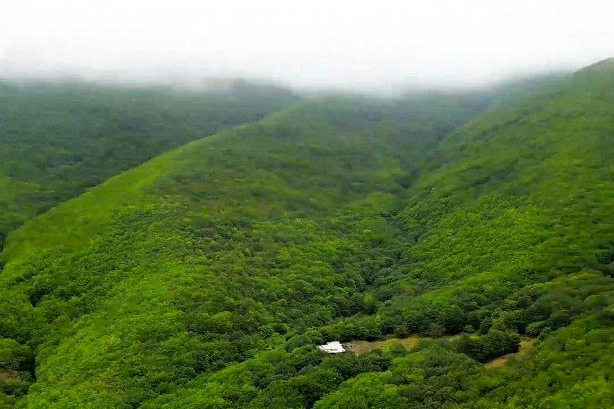 عکس / محل سقوط بالگرد ابراهیم رییسی