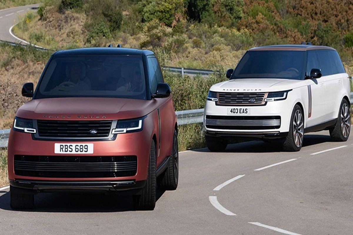 سلطان شاسی بلندهای انگلیسی به میدان آمد