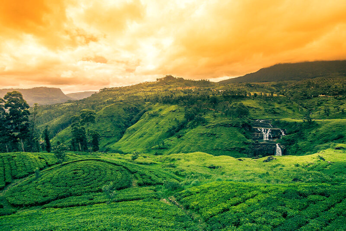 هزینه سفر به سریلانکا چقدر می‌ شود؟