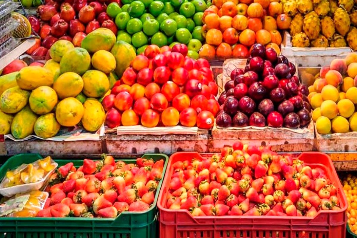 میوه های ایرانی در راه هند