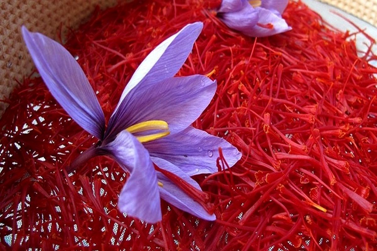 قیمت هر مثقال زعفران به بیش از  یک میلیون رسید + جدول