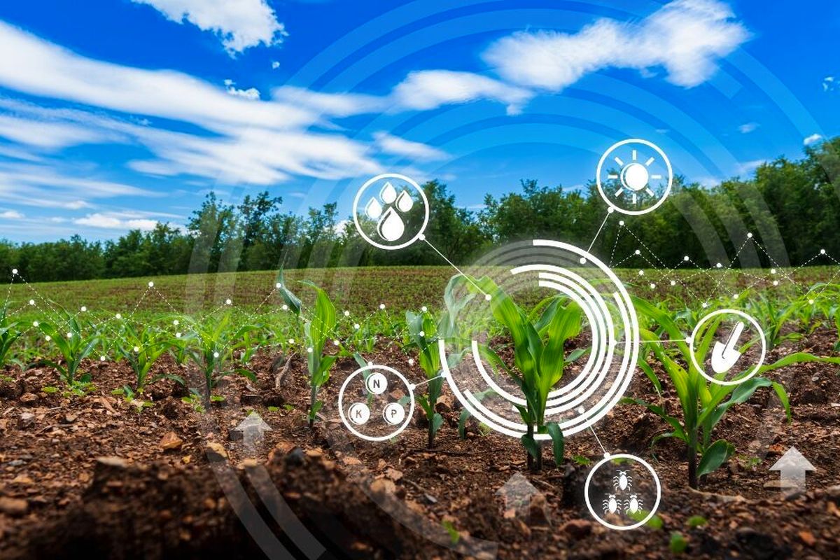 کلید توسعه پایدار و امنیت غذایی در کشور